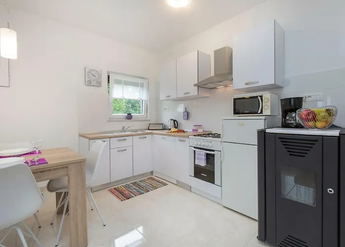 Brankica Διαμέρισμα Labin (Istria)