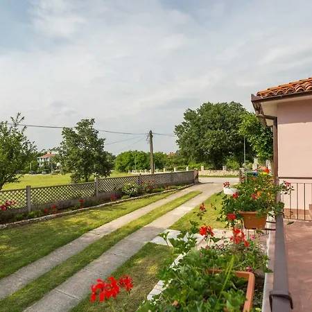 Apartment Brankica